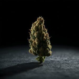 Cannatrek T25 Topaz Kush Cookies for sale