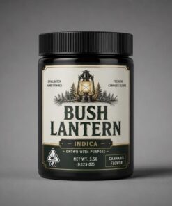 LGP Flower THC 25 Bush Lantern Medical Cannabis Flower