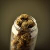 SatiVite Jerrawah Organic Boutique Tier Medical Cannabis Flower 2 SatiVite Jerrawah organic medical cannabis flower