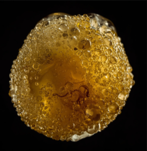 SatiVite PK01 Live Rosin