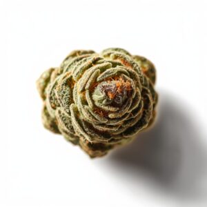 Humacology 3:2:1 deep sleep CBD CBN THC dried flower