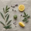 Humacology 3:2:1 deep sleep CBD CBN THC dried flower