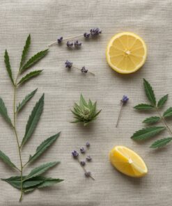 Humacology 3:2:1 deep sleep CBD CBN THC dried flower