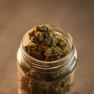 Indimed Tempo 19 Indica medical cannabis flower